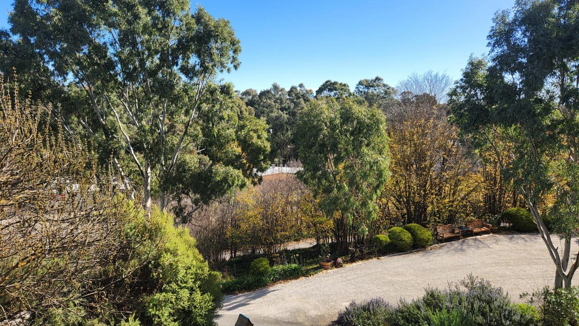 Riesling Trail & Clare Valley Cottages Bilik gambar