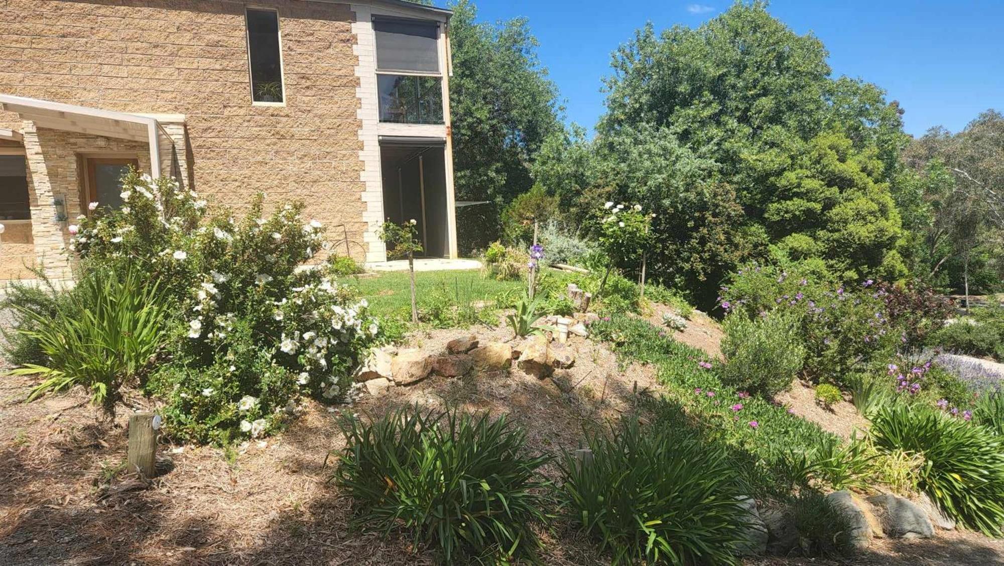 Riesling Trail & Clare Valley Cottages Bilik gambar